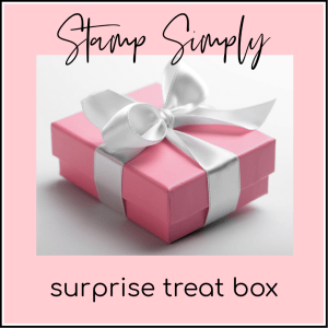 Christmas/Valentine Vintage Surprise Treat Box - #V4