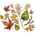 Sizzix Thinlits Dies by Tim Holtz - Fall Foliage