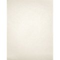 Luxury Pearlescent Metallic 105# Cardstock - Quartz White 15 ct