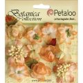 Petaloo Botanica Minis - Peach