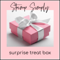Christmas/Valentine Vintage Surprise Treat Box - #V4