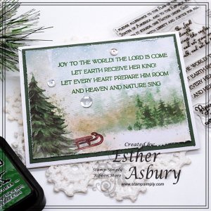 Stamp Simply Clear Stamps - Scripty Background Minis Bundle