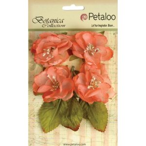 Petaloo Botanica Blooms - Coral