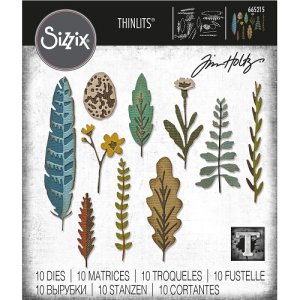 Sizzix Thinlits Dies by Tim Holtz - Funky Nature