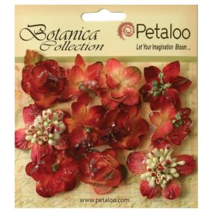 Petaloo Botanica Sugared Minis - Burgundy