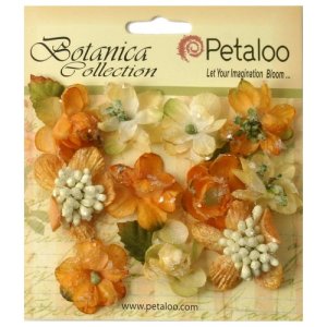 Petaloo Botanica Sugared Minis - Gold Sienna