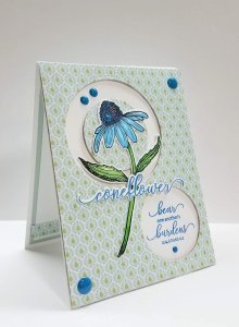 Stamp Simply Clear Stamps - Thank You for Caring Coneflower Bundle