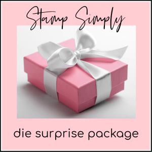 Die Surprise Treat Package - #2 - 10 Sets/Standard Size