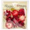Petaloo Botanica Baby Blooms - Red