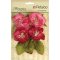 Petaloo Botanica Blooms - Fuchsia