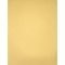 Luxury Pearlescent Metallic 105# Cardstock - Gold 15 ct