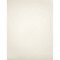 Luxury Pearlescent Metallic 105# Cardstock - Quartz White 6 ct