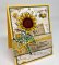Stamp Simply Clear Stamps - Sunflower Season Bundle
